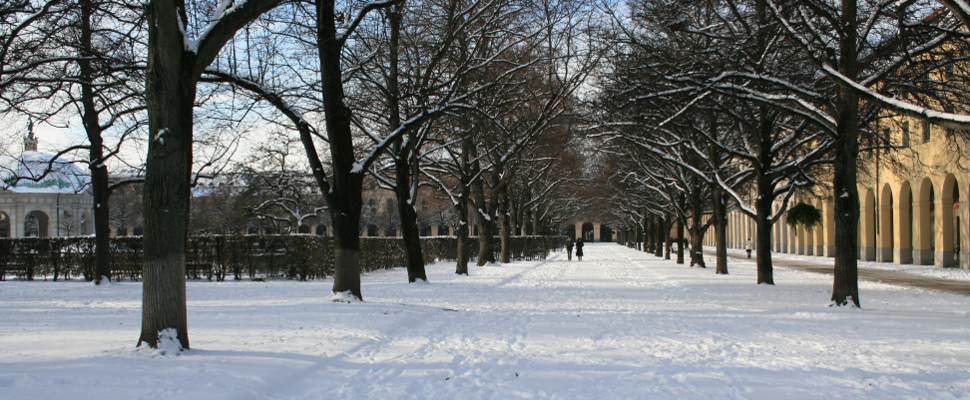München Hofgarten im Winter