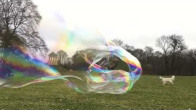 Seifenblasen-Video