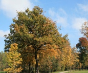 Foto des Tages