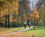 Foto des Tages