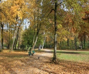 Foto des Tages