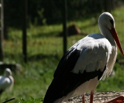 Foto des Tages