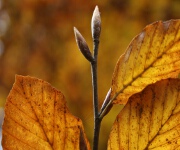 Foto des Tages