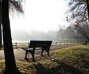 Foto des Tages