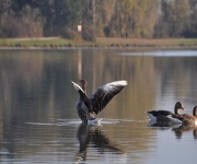 Foto des Tages
