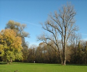 Foto des Tages