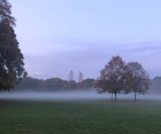 Foto des Tages