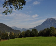 Foto des Tages