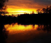 Foto des Tages