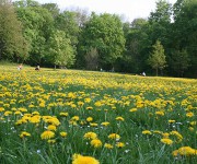Foto des Tages
