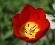 Foto des Tages