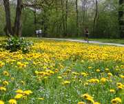 Foto des Tages