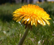 Foto des Tages