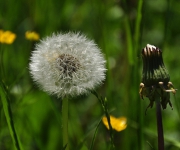 Foto des Tages