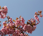 Foto des Tages