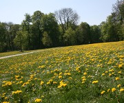 Foto des Tages