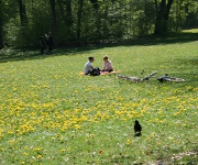 Foto des Tages