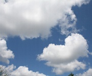 Foto des Tages