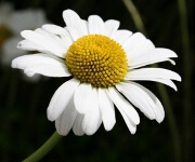 Foto des Tages
