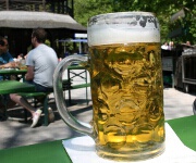 Foto des Tages