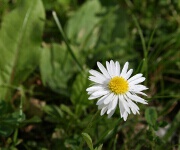 Foto des Tages
