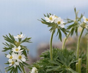 Foto des Tages