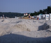 Foto des Tages