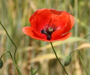 Foto des Tages