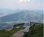 Foto des Tages