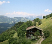 Foto des Tages