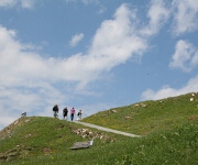 Foto des Tages