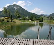 Foto des Tages