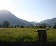 Foto des Tages