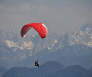 Foto des Tages