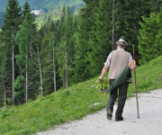 Foto des Tages