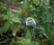 Foto des Tages