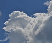 Foto des Tages