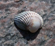 Foto des Tages