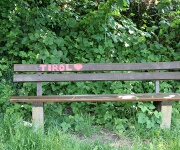 Foto des Tages