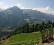 Foto des Tages