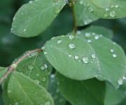Foto des Tages