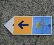 Foto des Tages