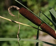 Foto des Tages