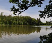 Foto des Tages