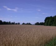 Foto des Tages