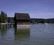 Foto des Tages