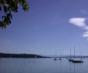 Foto des Tages