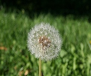 Foto des Tages