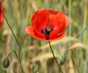 Foto des Tages