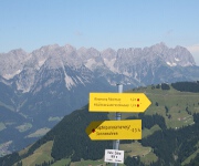 Foto des Tages